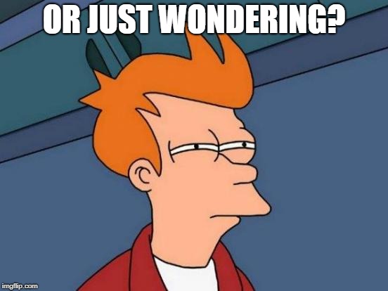 Futurama Fry Meme | OR JUST WONDERING? | image tagged in memes,futurama fry | made w/ Imgflip meme maker