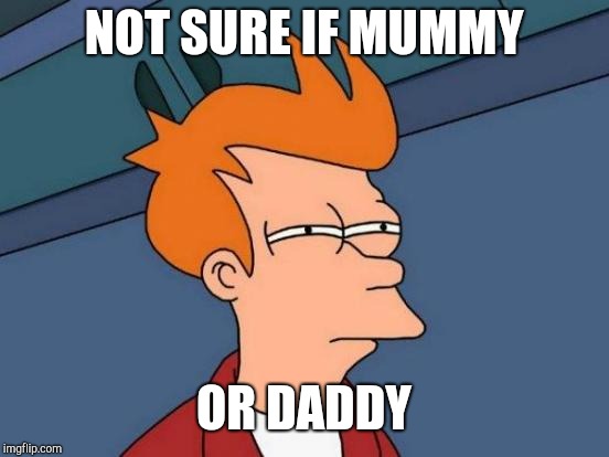Futurama Fry Meme | NOT SURE IF MUMMY OR DADDY | image tagged in memes,futurama fry | made w/ Imgflip meme maker