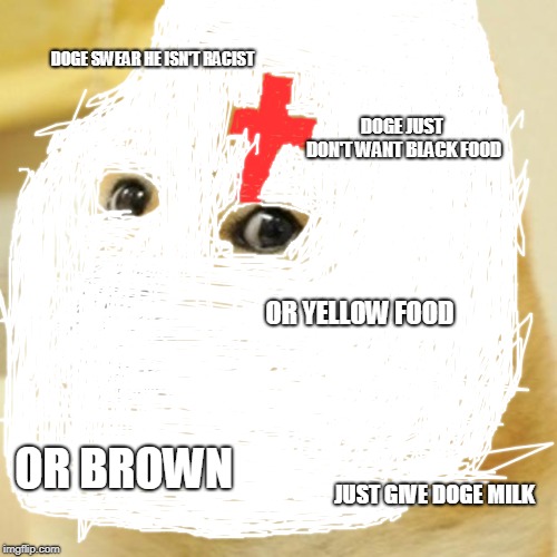 Doge Meme | DOGE SWEAR HE ISN'T RACIST; DOGE JUST DON'T WANT BLACK FOOD; OR YELLOW FOOD; OR BROWN; JUST GIVE DOGE MILK | image tagged in memes,doge | made w/ Imgflip meme maker