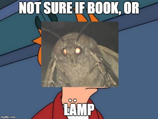 Futurama Fry Meme | NOT SURE IF BOOK, OR LAMP . . | image tagged in memes,futurama fry | made w/ Imgflip meme maker