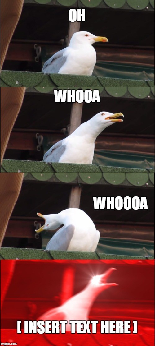 Inhaling Seagull Meme | OH; WHOOA; WHOOOA; [ INSERT TEXT HERE ] | image tagged in memes,inhaling seagull | made w/ Imgflip meme maker