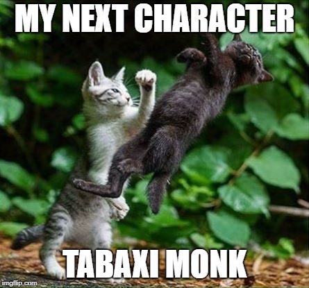 D&D Tabaxi Monk | MY NEXT CHARACTER; TABAXI MONK | image tagged in cat punch,dungeons and dragons,tabaxi,monk | made w/ Imgflip meme maker