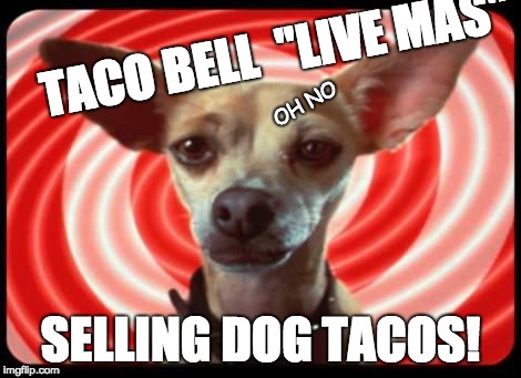 taco bell dog | TACO BELL 
"LIVE MAS"; OH NO; SELLING DOG TACOS! | image tagged in taco bell dog | made w/ Imgflip meme maker