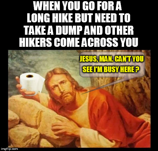jesus | WHEN YOU GO FOR A LONG HIKE BUT NEED TO TAKE A DUMP AND OTHER HIKERS COME ACROSS YOU; JESUS, MAN. CAN'T YOU; SEE I'M BUSY HERE ? | image tagged in jesus,toilet paper,jesus christ,woods,shit,dump | made w/ Imgflip meme maker