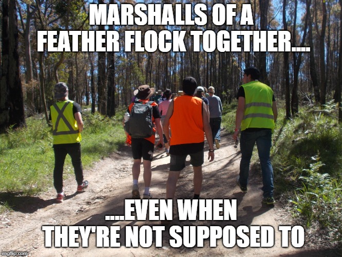 Marshall Mistake | MARSHALLS OF A FEATHER FLOCK TOGETHER.... ....EVEN WHEN THEY'RE NOT SUPPOSED TO | image tagged in crex | made w/ Imgflip meme maker