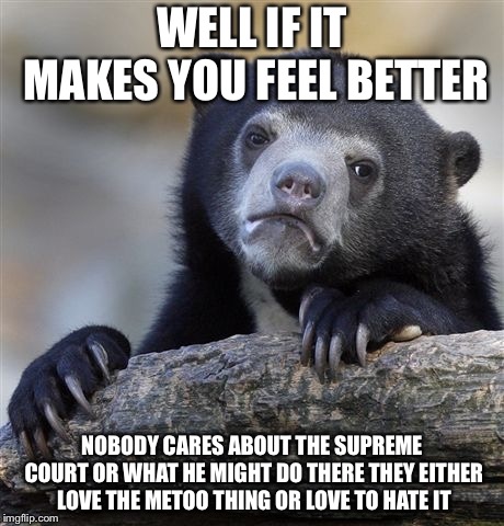 Confession Bear Meme | WELL IF IT MAKES YOU FEEL BETTER NOBODY CARES ABOUT THE SUPREME COURT OR WHAT HE MIGHT DO THERE THEY EITHER LOVE THE METOO THING OR LOVE TO  | image tagged in memes,confession bear | made w/ Imgflip meme maker