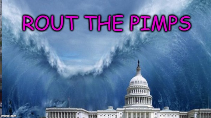 Big Blue Wave... | ROUT THE PIMPS | image tagged in plutocracy,con | made w/ Imgflip meme maker