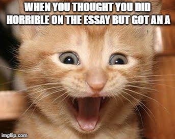 Excited Cat | WHEN YOU THOUGHT YOU DID HORRIBLE ON THE ESSAY BUT GOT AN A | image tagged in memes,excited cat | made w/ Imgflip meme maker