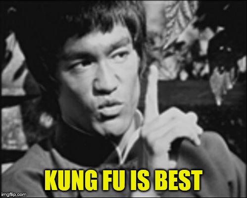 One Bruce Lee | KUNG FU IS BEST | image tagged in one bruce lee | made w/ Imgflip meme maker