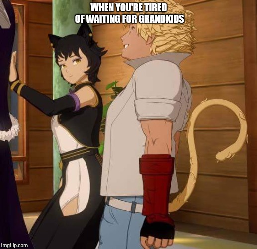 WHEN YOU'RE TIRED OF WAITING FOR GRANDKIDS | image tagged in rwby | made w/ Imgflip meme maker