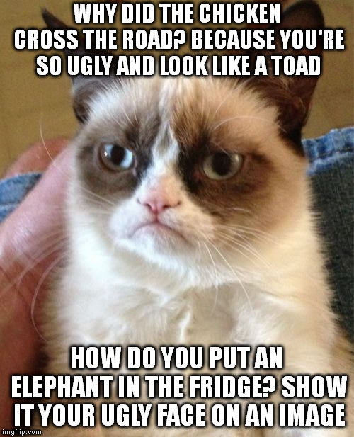 Grumpy Cat Meme | WHY DID THE CHICKEN CROSS THE ROAD? BECAUSE YOU'RE SO UGLY AND LOOK LIKE A TOAD; HOW DO YOU PUT AN ELEPHANT IN THE FRIDGE? SHOW IT YOUR UGLY FACE ON AN IMAGE | image tagged in memes,grumpy cat | made w/ Imgflip meme maker