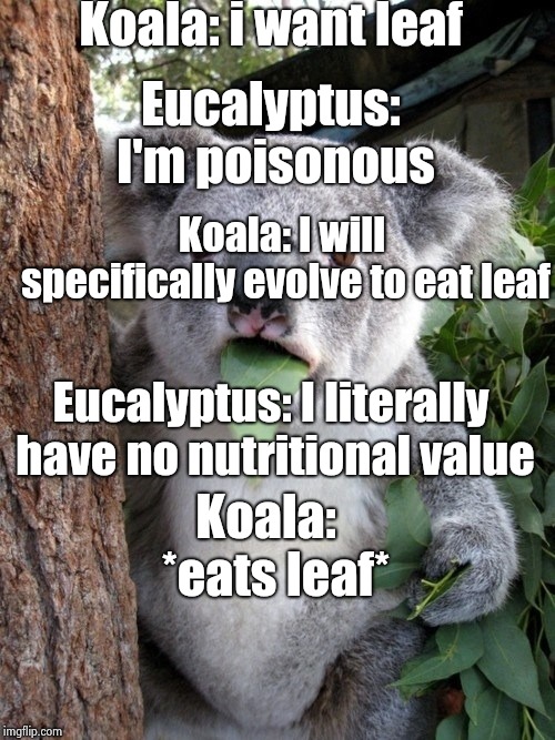 Surprised Koala |  Koala: i want leaf; Eucalyptus: I'm poisonous; Koala: I will specifically evolve to eat leaf; Eucalyptus: I literally have no nutritional value; Koala:  *eats leaf* | image tagged in memes,surprised coala | made w/ Imgflip meme maker