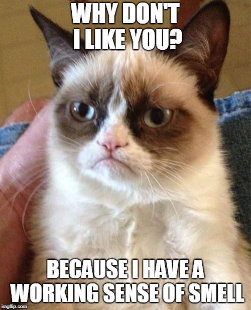 Pee-Yew? More Like Pee-YOU! Grumpy Cat Weekend, a Socraziness event, Oct. 5-8. |  WHY DON'T I LIKE YOU? BECAUSE I HAVE A WORKING SENSE OF SMELL | image tagged in memes,grumpy cat,grumpy cat insults,grumpy cat weekend,craziness_all_the_way,socrates | made w/ Imgflip meme maker