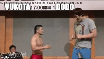 VUKOTA                  DODO | image tagged in gifs | made w/ Imgflip video-to-gif maker