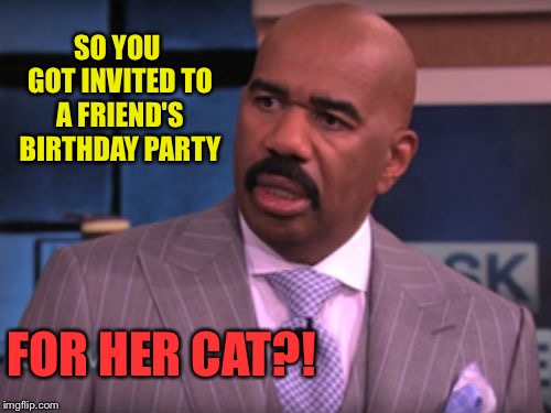 A great time was had by all. | SO YOU GOT INVITED TO A FRIEND'S BIRTHDAY PARTY; FOR HER CAT?! | image tagged in steve harvey,birthday,cat,memes,funny | made w/ Imgflip meme maker