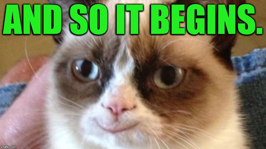 Grumpy Happy Cat | AND SO IT BEGINS. | image tagged in grumpy happy cat | made w/ Imgflip meme maker