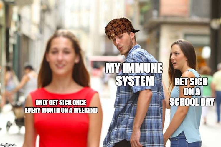 Distracted Boyfriend Meme |  MY IMMUNE SYSTEM; GET SICK ON A SCHOOL DAY; ONLY GET SICK ONCE EVERY MONTH ON A WEEKEND | image tagged in memes,distracted boyfriend,scumbag | made w/ Imgflip meme maker