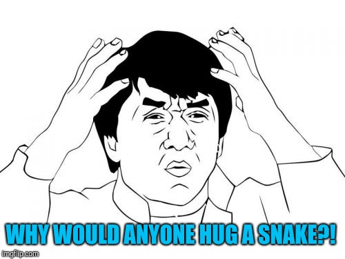 Jackie Chan WTF Meme | WHY WOULD ANYONE HUG A SNAKE?! | image tagged in memes,jackie chan wtf | made w/ Imgflip meme maker