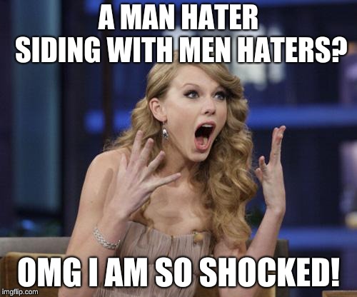 Taylor Swift | A MAN HATER SIDING WITH MEN HATERS? OMG I AM SO SHOCKED! | image tagged in taylor swift | made w/ Imgflip meme maker