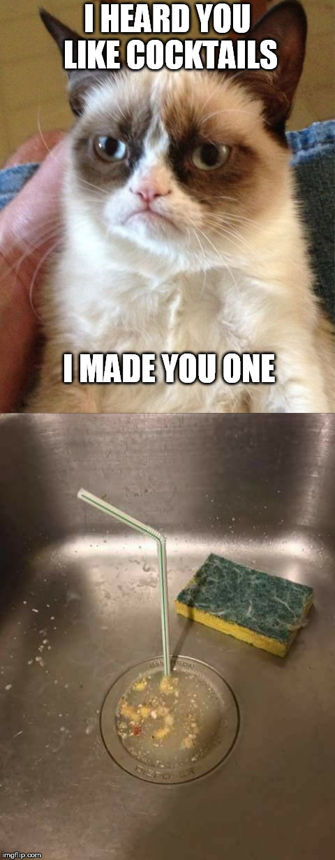 Grumpy Cat Weekend by Craziness_all_the_way and socrates | I HEARD YOU LIKE COCKTAILS; I MADE YOU ONE | image tagged in grumpy cat weekend,grumpy cat,cocktail,meme | made w/ Imgflip meme maker