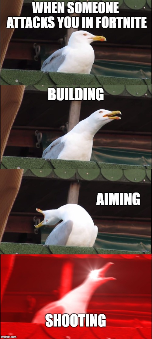 Inhaling Seagull Meme | WHEN SOMEONE ATTACKS YOU IN FORTNITE; BUILDING; AIMING; SHOOTING | image tagged in memes,inhaling seagull | made w/ Imgflip meme maker