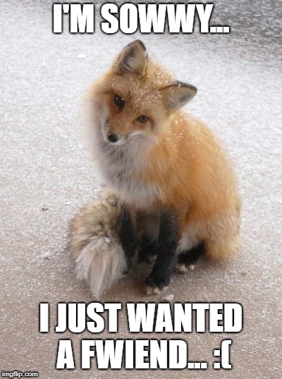 Sowwyy.. | I'M SOWWY... I JUST WANTED A FWIEND... :( | image tagged in fox,sad | made w/ Imgflip meme maker