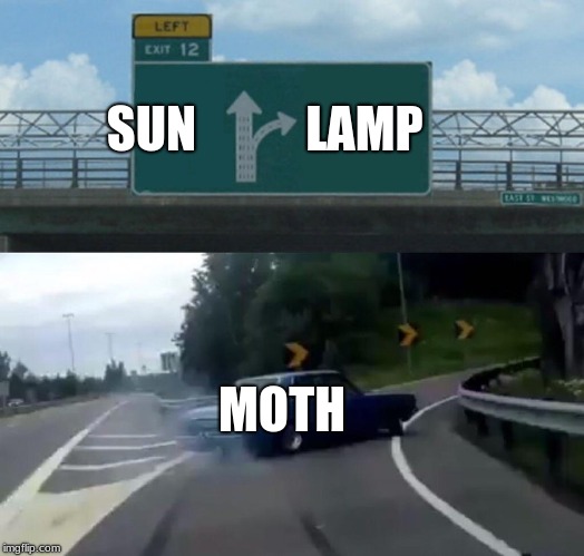 Left Exit 12 Off Ramp Meme | SUN; LAMP; MOTH | image tagged in memes,left exit 12 off ramp,moth | made w/ Imgflip meme maker