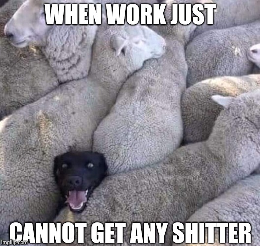 When you are having one of those days... | WHEN WORK JUST; CANNOT GET ANY SHITTER | image tagged in funny memes | made w/ Imgflip meme maker
