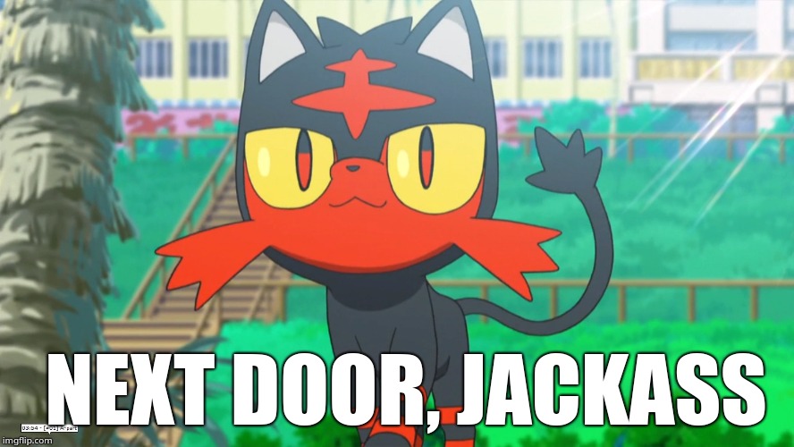 Next door, jackass | NEXT DOOR, JACKASS | image tagged in litten | made w/ Imgflip meme maker