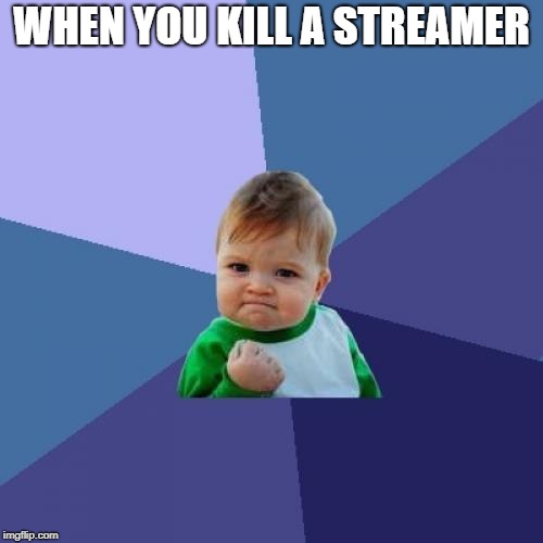 Success Kid | WHEN YOU KILL A STREAMER | image tagged in memes,success kid | made w/ Imgflip meme maker