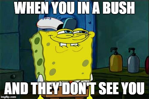 Don't You Squidward Meme | WHEN YOU IN A BUSH; AND THEY DON'T SEE YOU | image tagged in memes,dont you squidward | made w/ Imgflip meme maker