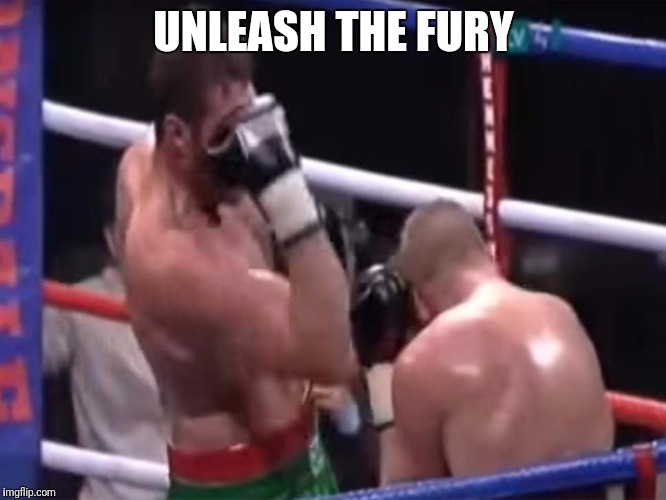 UNLEASH THE FURY | made w/ Imgflip meme maker