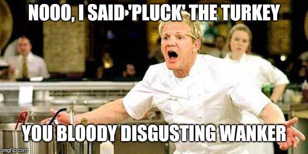 That's Fowl! | NOOO, I SAID 'PLUCK' THE TURKEY; YOU BLOODY DISGUSTING WANKER | image tagged in gordon ramsay,turkey,wanker,disgusting,funny,memes | made w/ Imgflip meme maker