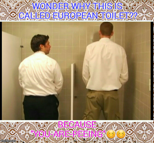 pun on toilet | WONDER WHY THIS IS CALLED EUROPEAN TOILET?? BECAUSE "YOU-ARE-PEEING"😊😊 | image tagged in europe,you are | made w/ Imgflip meme maker