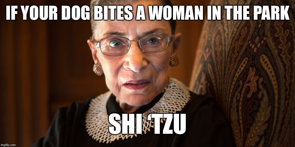 Ruth Bader Ginsburg | IF YOUR DOG BITES A WOMAN IN THE PARK; SHI ‘TZU | image tagged in ruth bader ginsburg,memes,bad pun | made w/ Imgflip meme maker