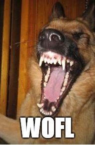 Laughing Dog | WOFL | image tagged in laughing dog | made w/ Imgflip meme maker