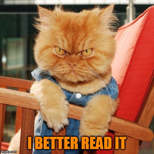 Garfi The Angry Cat | I BETTER READ IT | image tagged in garfi the angry cat | made w/ Imgflip meme maker