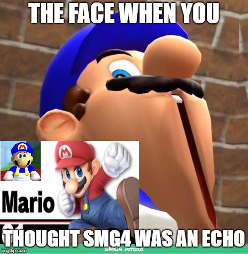 dat smg4 doe | THE FACE WHEN YOU; THOUGHT SMG4 WAS AN ECHO | image tagged in dat smg4 doe | made w/ Imgflip meme maker