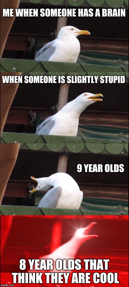 Inhaling Seagull | ME WHEN SOMEONE HAS A BRAIN; WHEN SOMEONE IS SLIGHTLY STUPID; 9 YEAR OLDS; 8 YEAR OLDS THAT THINK THEY ARE COOL | image tagged in memes,inhaling seagull | made w/ Imgflip meme maker