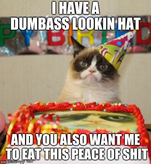 Grumpy Cat Birthday Meme | I HAVE A DUMBASS LOOKIN HAT; AND YOU ALSO WANT ME TO EAT THIS PEACE OF SHIT | image tagged in memes,grumpy cat birthday,grumpy cat | made w/ Imgflip meme maker