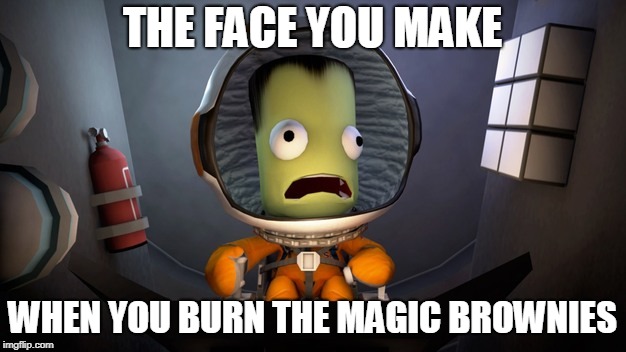 Scared Kerbal | THE FACE YOU MAKE; WHEN YOU BURN THE MAGIC BROWNIES | image tagged in scared kerbal | made w/ Imgflip meme maker