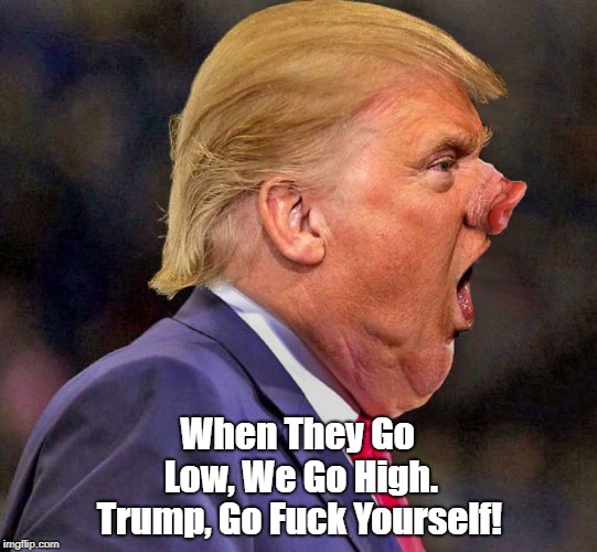 When They Go Low, We Go High. Trump, Go F**k Yourself! | made w/ Imgflip meme maker