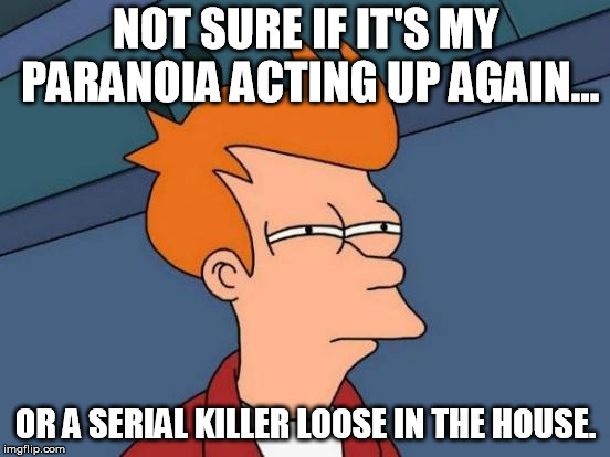 Futurama Fry Meme | NOT SURE IF IT'S MY PARANOIA ACTING UP AGAIN... OR A SERIAL KILLER LOOSE IN THE HOUSE. | image tagged in memes,futurama fry | made w/ Imgflip meme maker