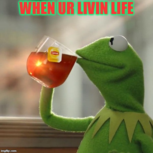 But That's None Of My Business | WHEN UR LIVIN LIFE | image tagged in memes,but thats none of my business,kermit the frog | made w/ Imgflip meme maker