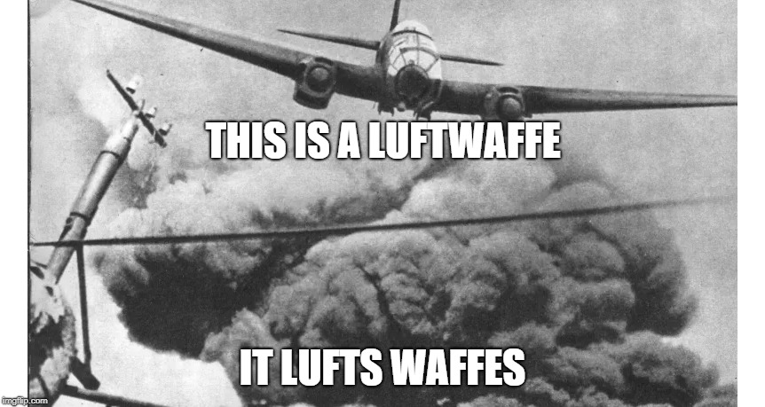 THIS IS A LUFTWAFFE; IT LUFTS WAFFES | image tagged in ww2 | made w/ Imgflip meme maker