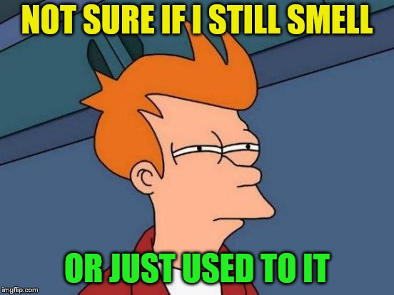 Futurama Fry Meme | NOT SURE IF I STILL SMELL OR JUST USED TO IT | image tagged in memes,futurama fry | made w/ Imgflip meme maker