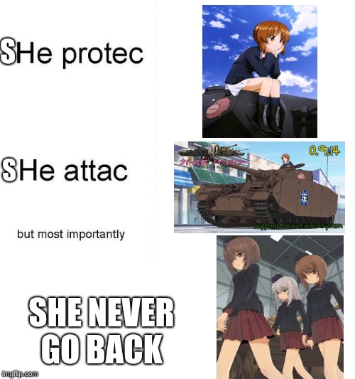 he protec | S; S; SHE NEVER GO BACK | image tagged in he protec | made w/ Imgflip meme maker