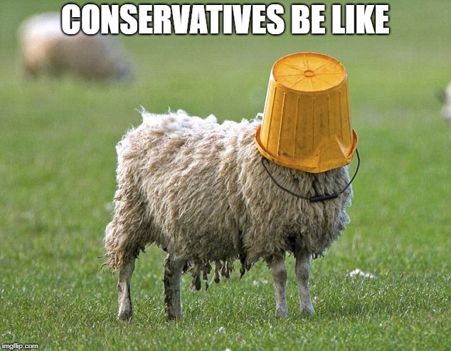 stupid sheep | CONSERVATIVES BE LIKE | image tagged in stupid sheep | made w/ Imgflip meme maker