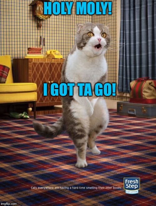 Gotta Go Cat | HOLY MOLY! I GOT TA GO! | image tagged in memes,gotta go cat | made w/ Imgflip meme maker