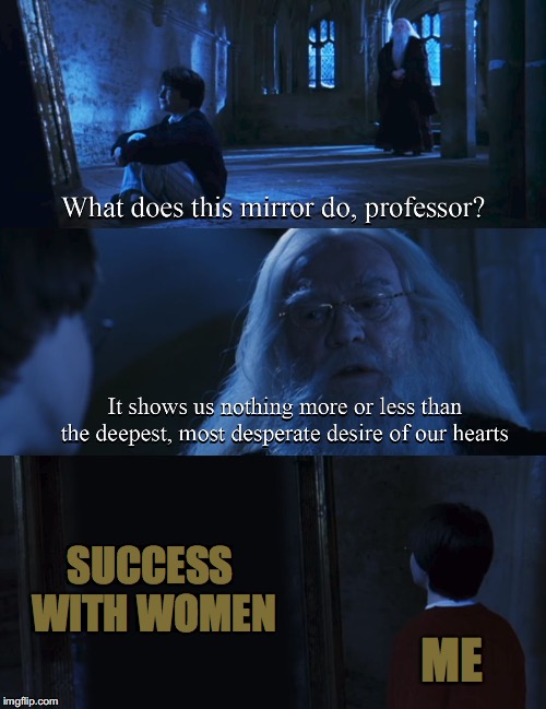 Harry potter mirror | SUCCESS WITH WOMEN; ME | image tagged in harry potter mirror | made w/ Imgflip meme maker
